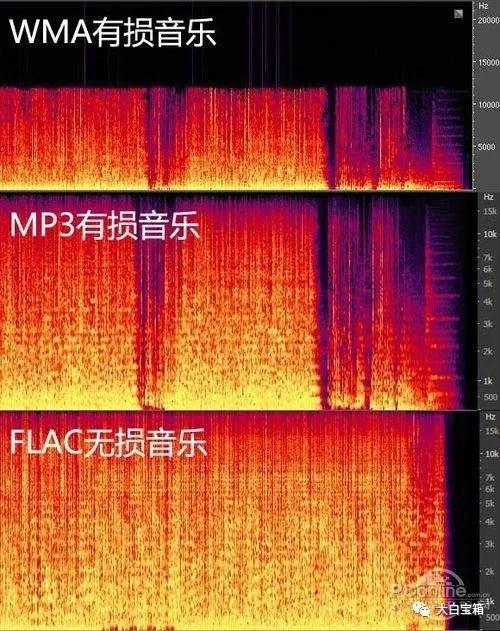 四大平台无损音乐免费*载下**，不开VIP，却有比VIP还VIP的待遇