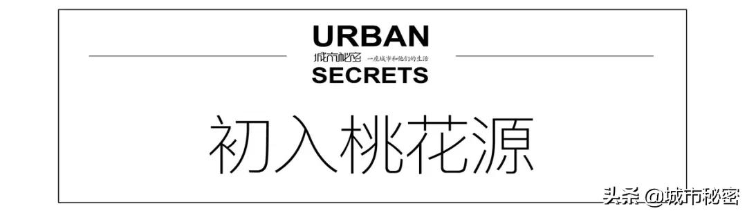 杭州文教区如果不写杭师大，那和一条失去梦想的咸鱼有啥区别