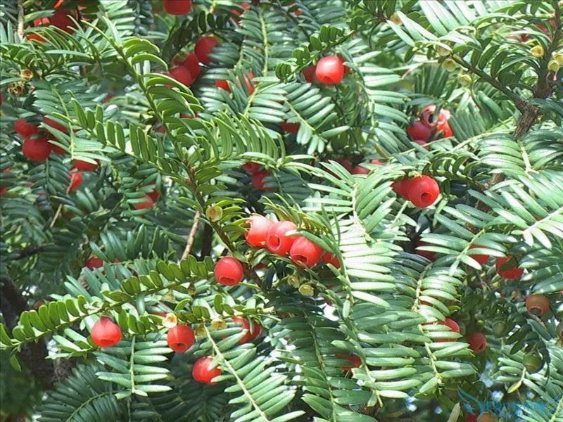 九江遛娃室内好去处,好玩指数三颗星