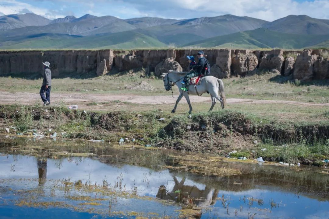 只要你面朝青海湖，八月依旧春暖花开