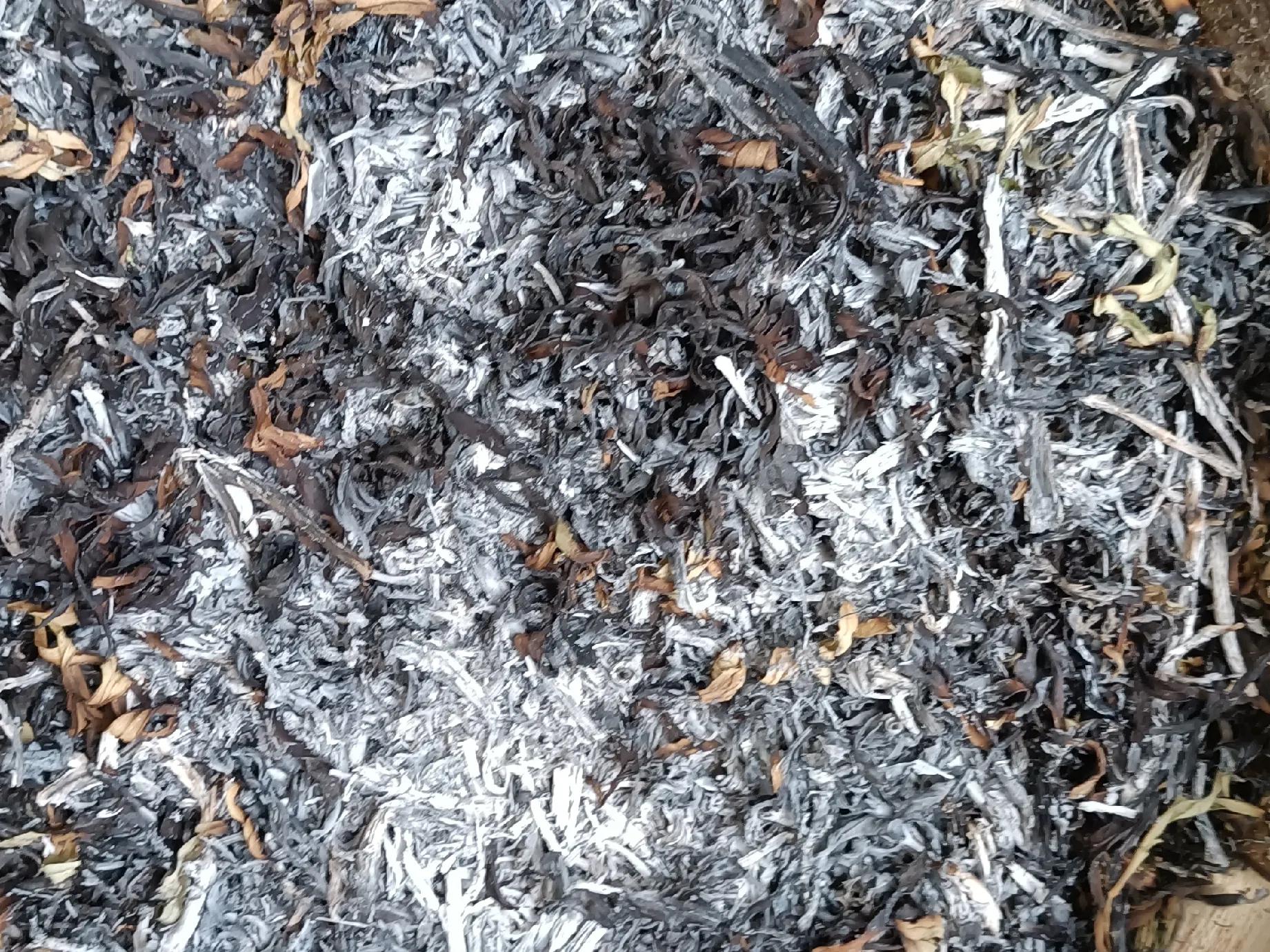 蔬菜害虫用什么杀虫剂最有效,辣椒水喷蔬菜能驱虫吗