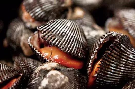 秦皇岛海鲜有哪几种比较好,这时的秦皇岛有哪些海鲜正当季