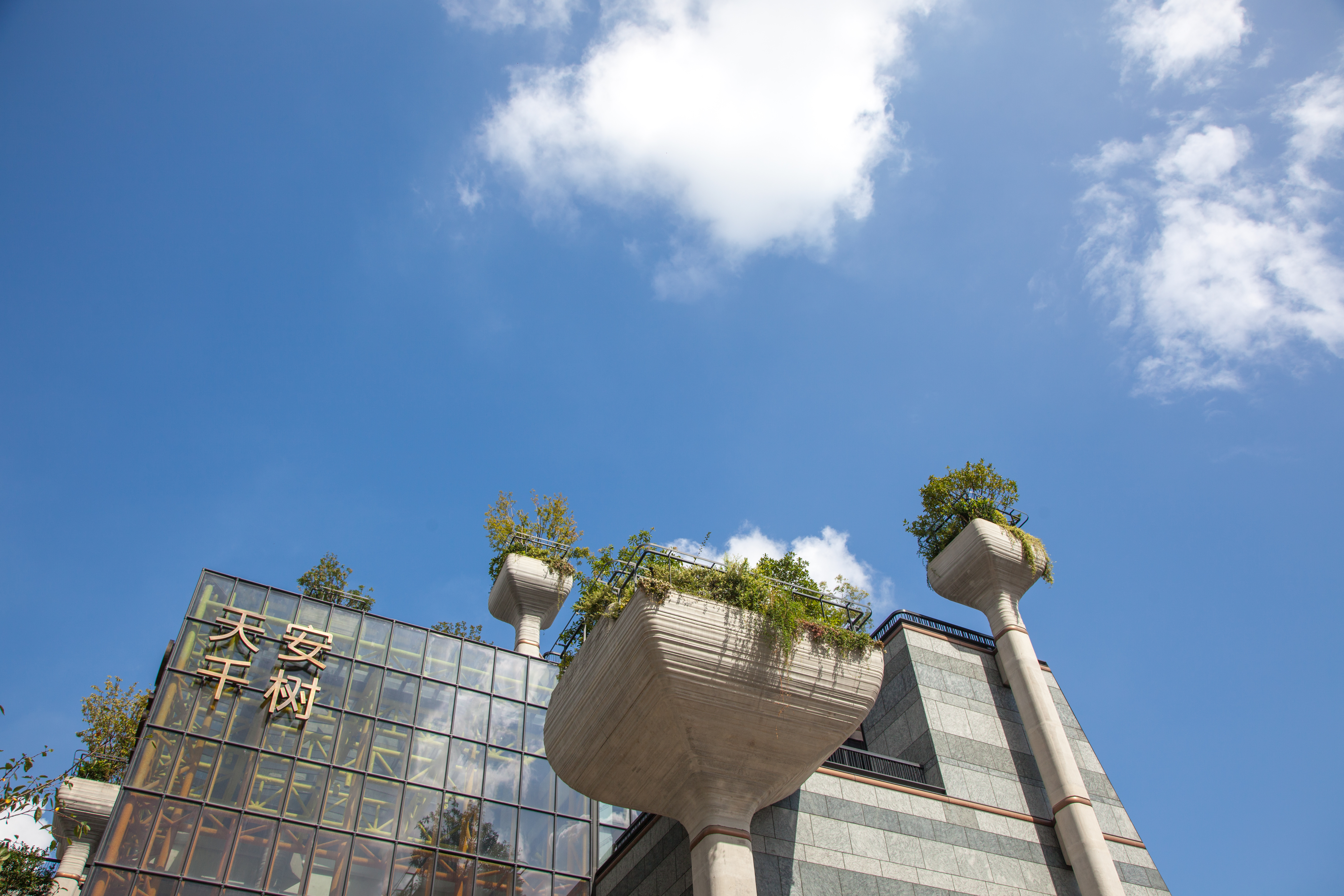 上海网红建筑天安千树,天安千树网红地址