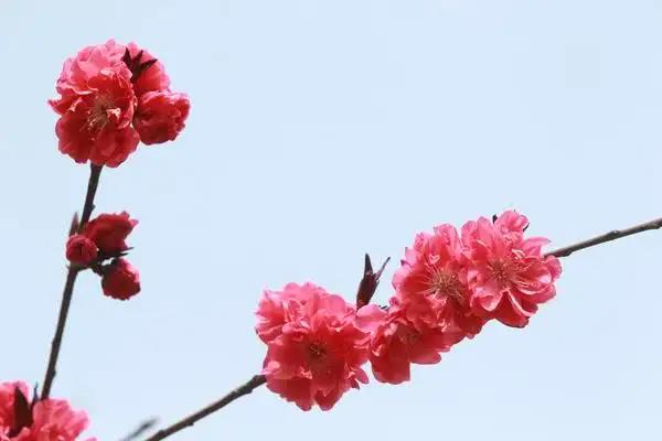 英文美句和翻译,英文美句精选