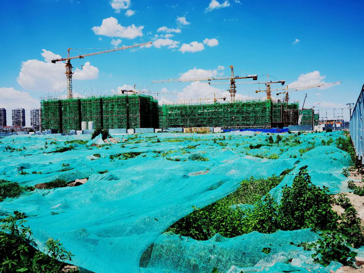 楼盘火爆揭秘,这个楼盘为什么这么引人注意