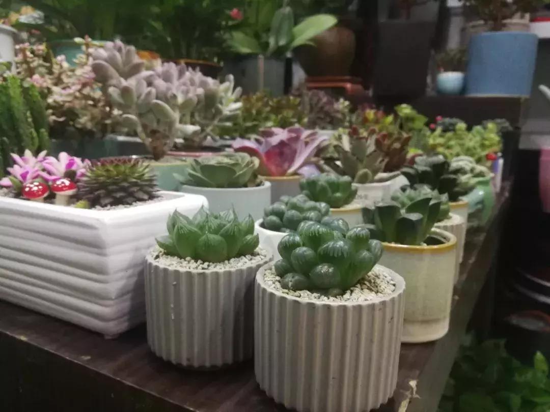 开花店一个月能赚5000不 (开花店多长时间能赚钱)