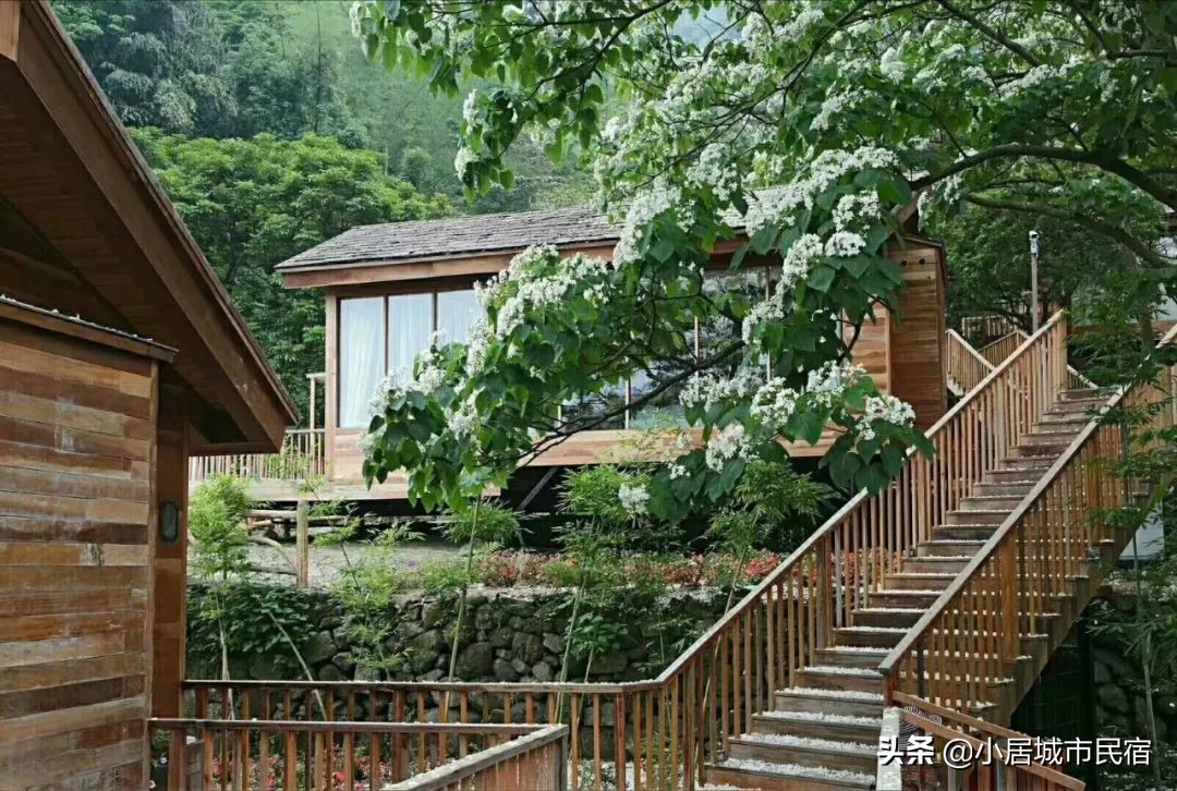 从化旅游景点大全樱花,从化樱花旅游景点