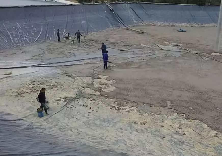 虾塘养殖用什么消毒最好,虾塘怎样养水护底