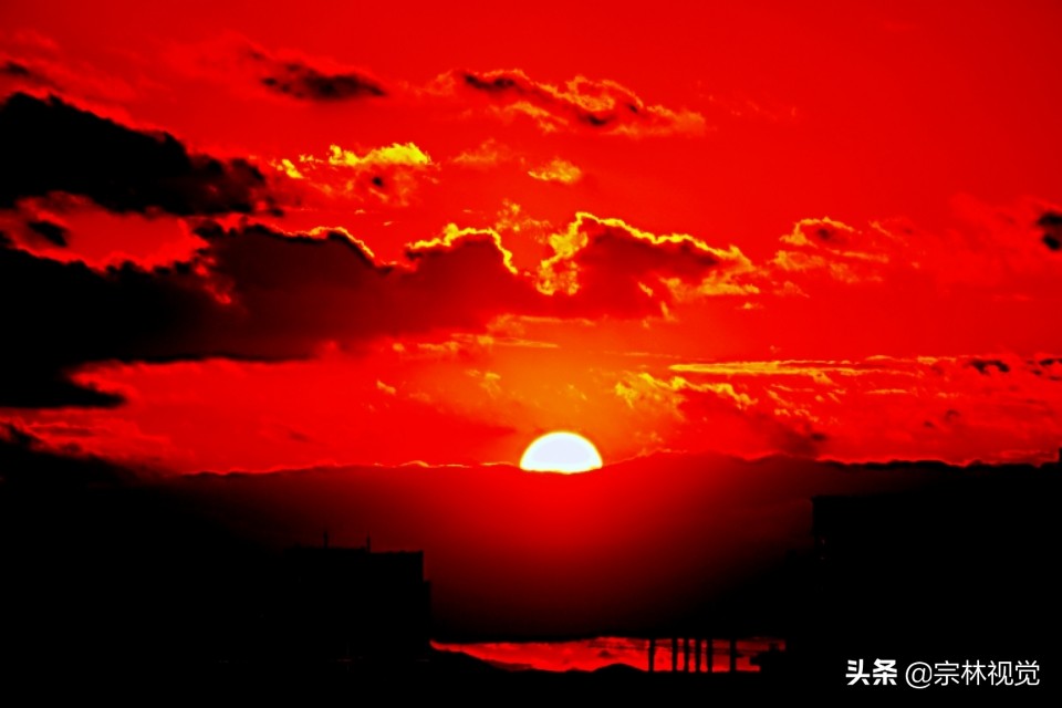 一年又一年之2020•02