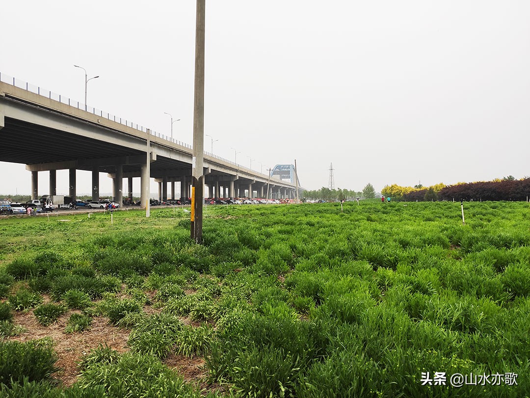 石家庄也有这么漂亮的风景,石家庄橘子洲