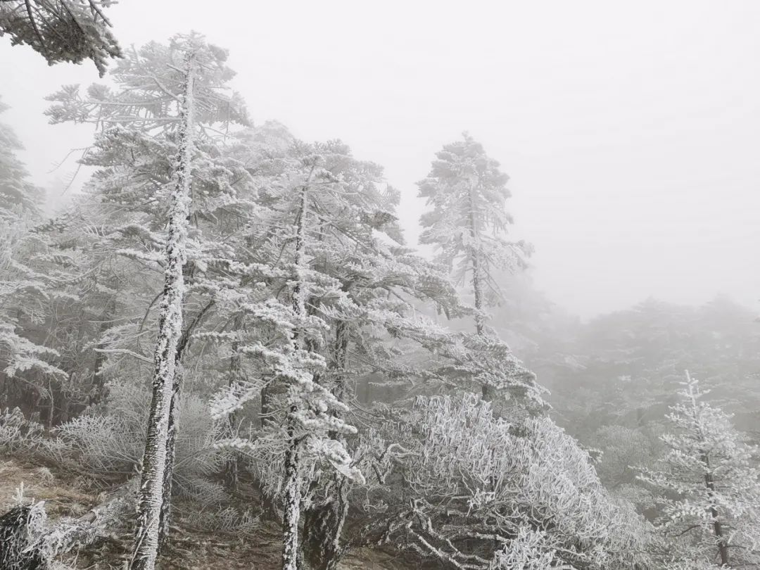 大寒潮小寒潮,寒潮带来大范围降雪