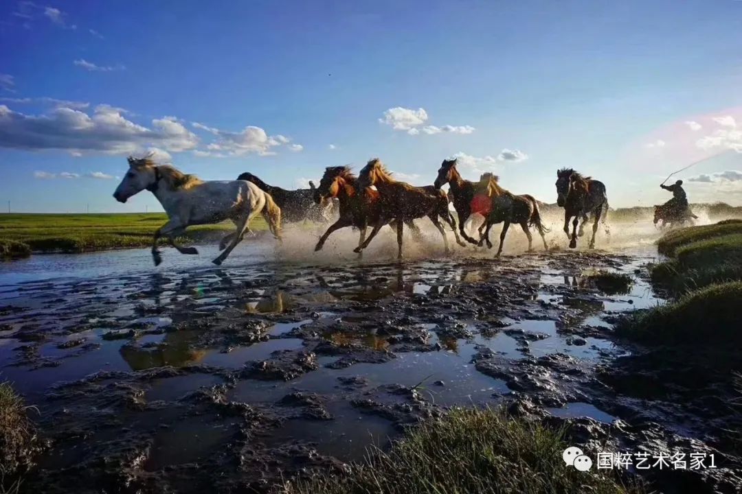国粹艺术名家刘文清,国粹艺术名家樊晓晖