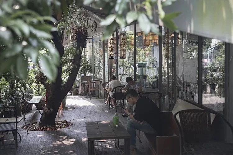 深圳龙华适合小孩子玩的免费景点,深圳适合一日游好玩的地方推荐