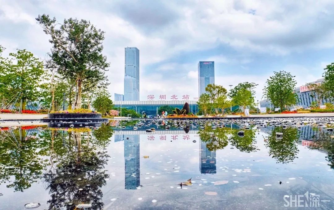 坐一趟4号线，打卡深圳19个热门游玩地！