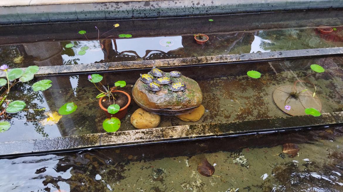 redminote95g值得入手吗,redmi千元机note9