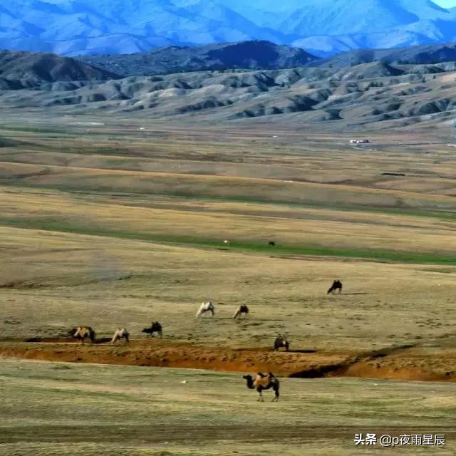 照片去雾变清晰,照片去朦胧感