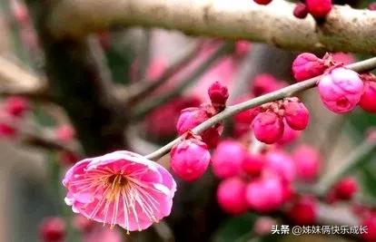 2021立春时间几点几分是早立春吗,2022年立春当天是几点立春