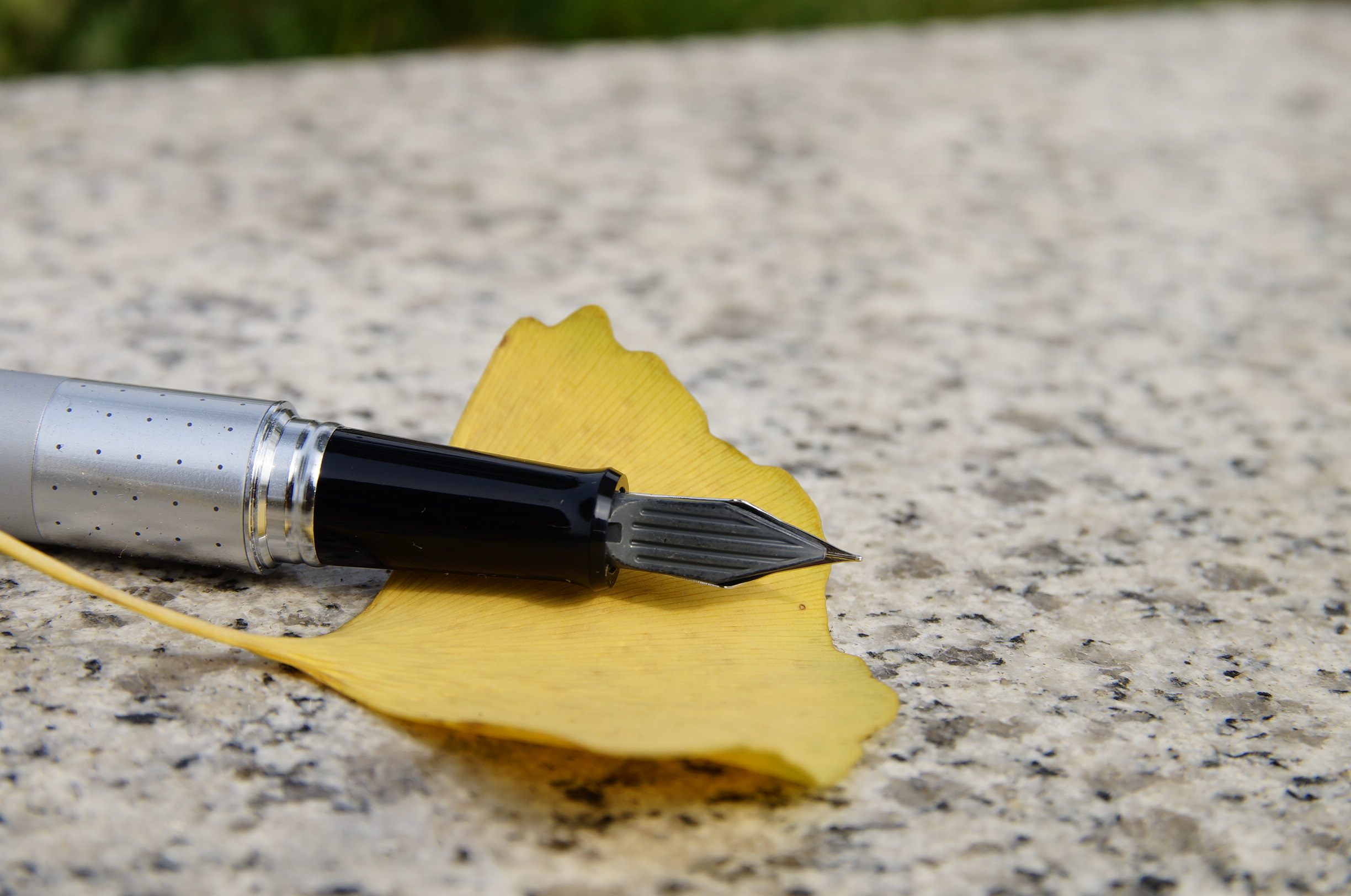 日本pilot百乐88g动物纹钢笔测评,百乐88g钢笔评测