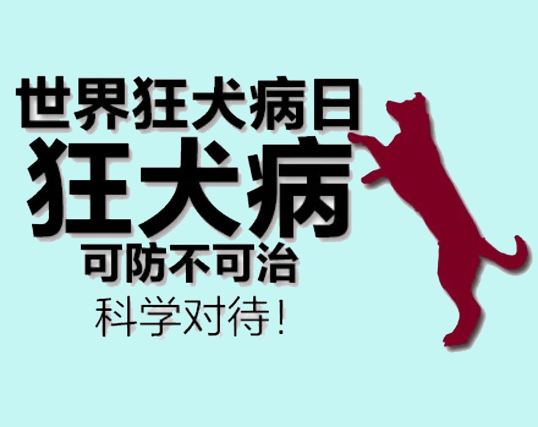 被狗咬有疯狗病吗,被疯狗咬后真的会像狗一样叫吗