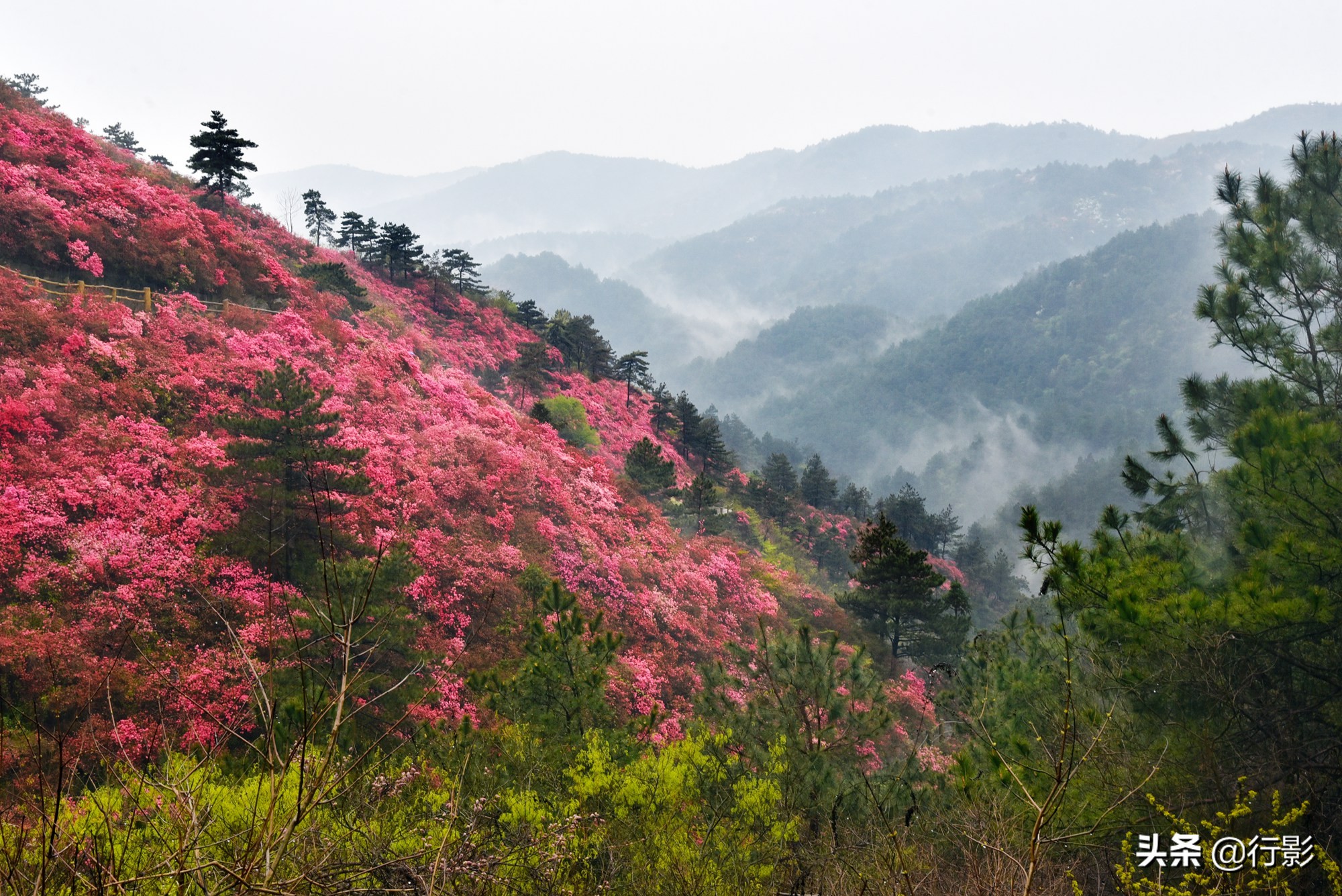 武汉青山网红打卡景点,云雾山武汉