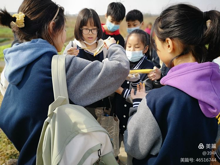 体耕读文化彰劳动之美——记合肥三十九中劳动研学活动