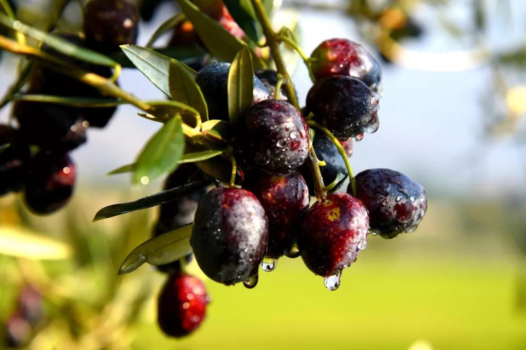 这就是幸福英文,这就是幸福