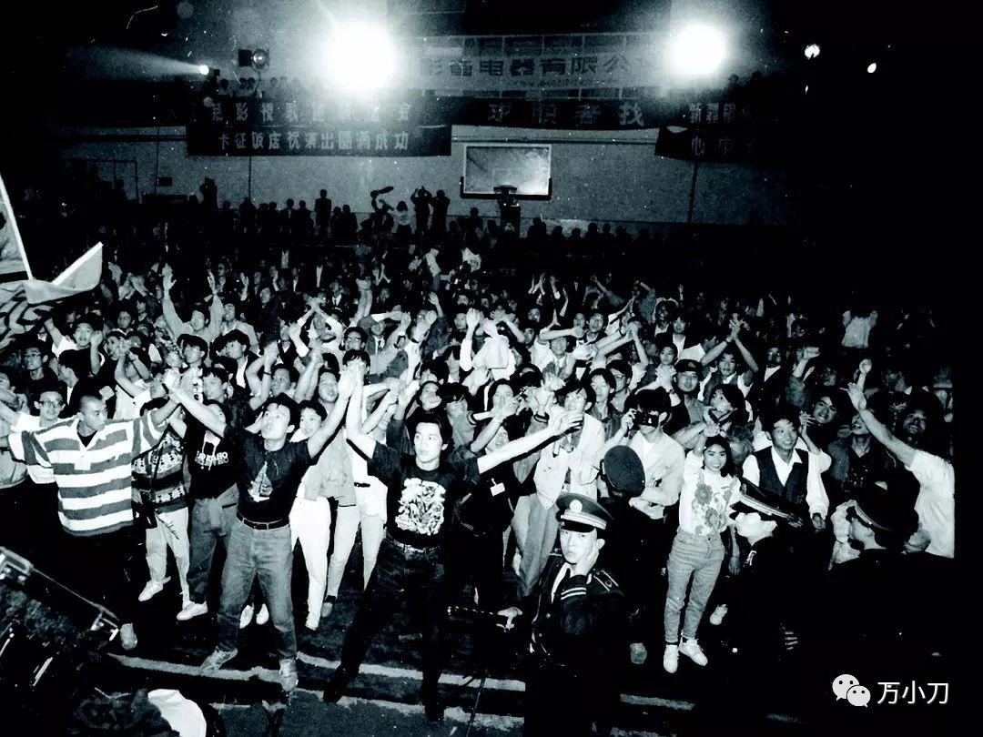 娱乐圈八爪鱼身份,娱乐圈的八爪鱼