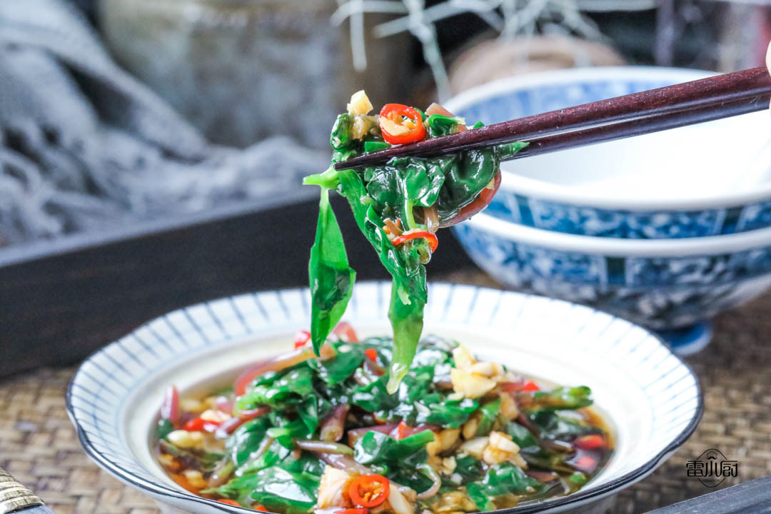 健康又美味的山中野菜,什么野菜好吃又下火