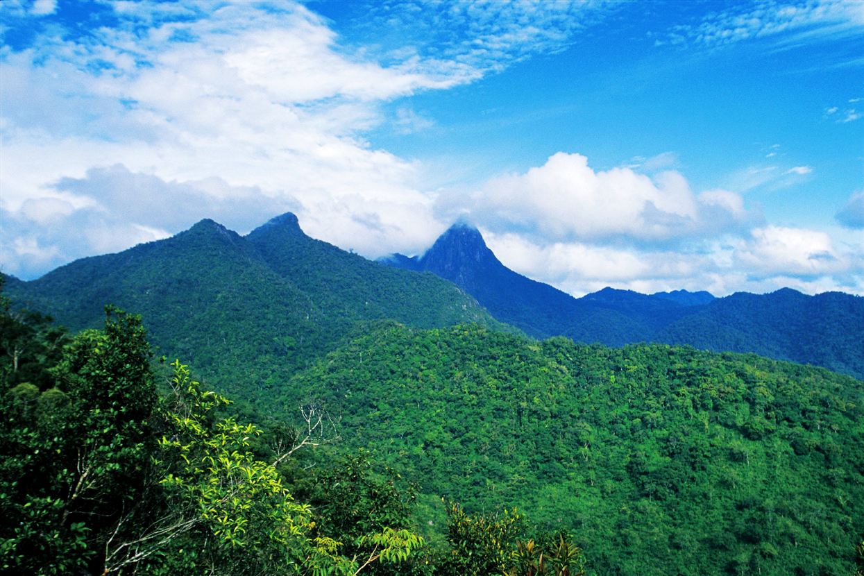 美国最大的蛇类,美国最大的蛇有多大