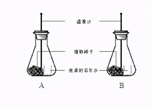 七上生物绿色植物的呼吸作用复习,高一生物必修一呼吸作用习题讲解