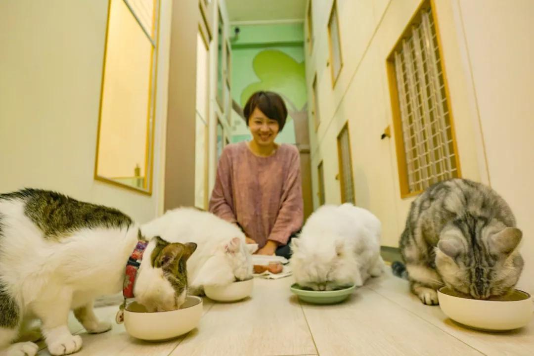 一对夫妻的零浪费生活,自制牙膏洗发水