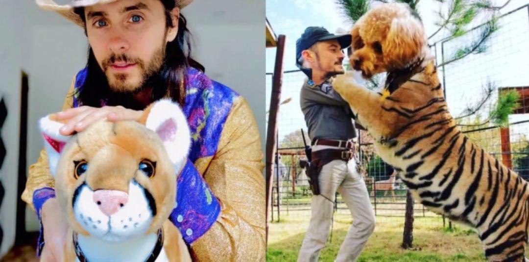 一夫多妻、*教邪***脑洗**、富豪失踪，你敢跟我说是真人真事？