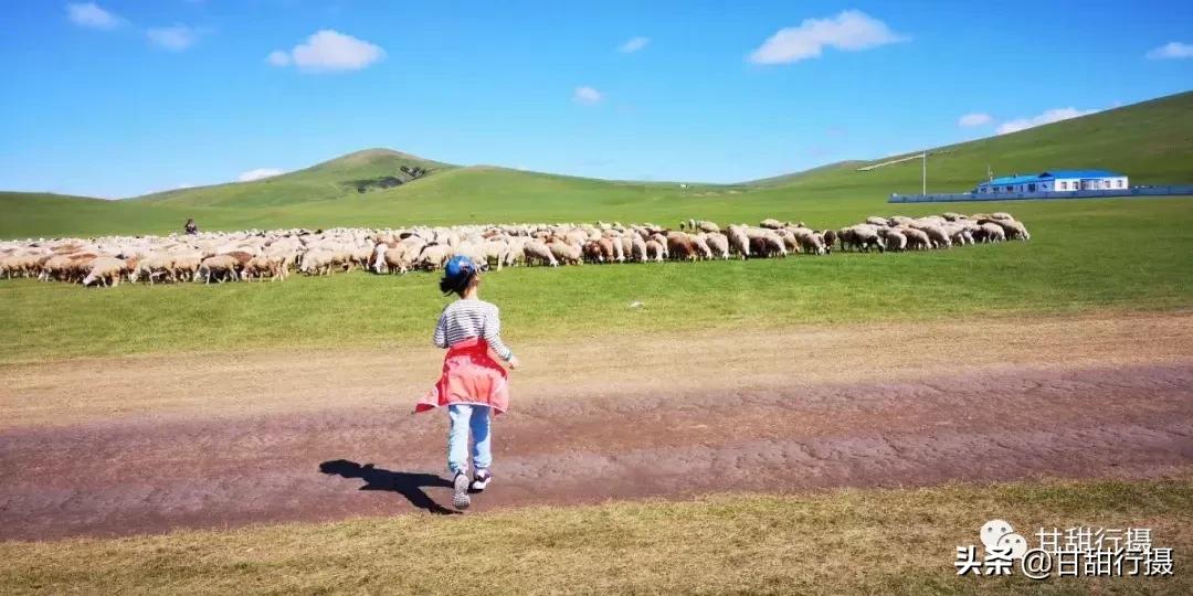 呼伦贝尔浩野户外旅行,呼伦贝尔户外游私人订制