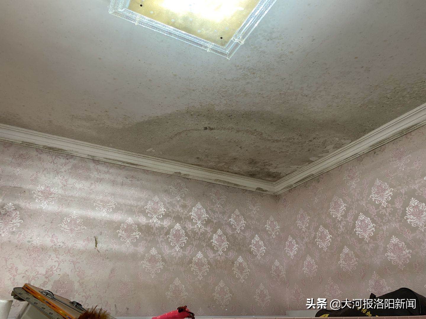楼上漏水天花板墙纸发霉,顶楼屋内墙体发霉