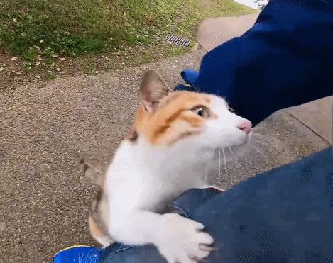 24岁男子喜当爹去派出所,90后男子相亲被误当爹