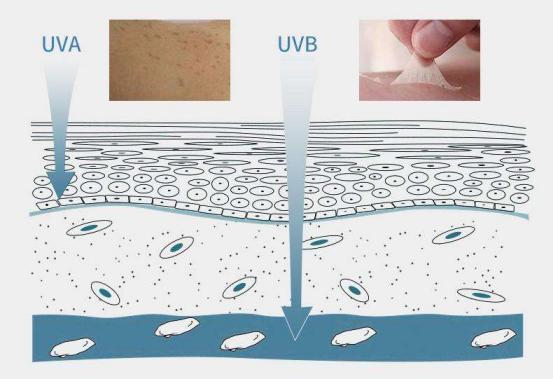 军训晒黑了怎么快速变白科学方法,军训完晒黑怎么变白学生党