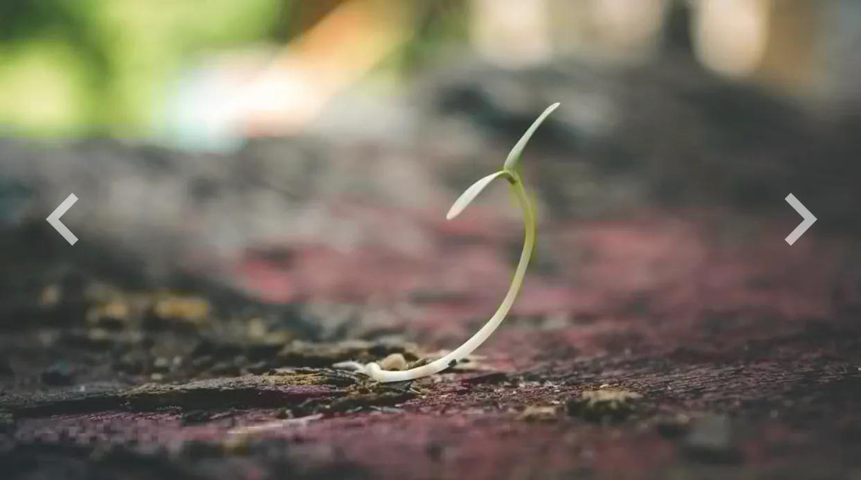 当了妈妈才知道母爱的力量,当了妈妈才知道生活还有一番滋味
