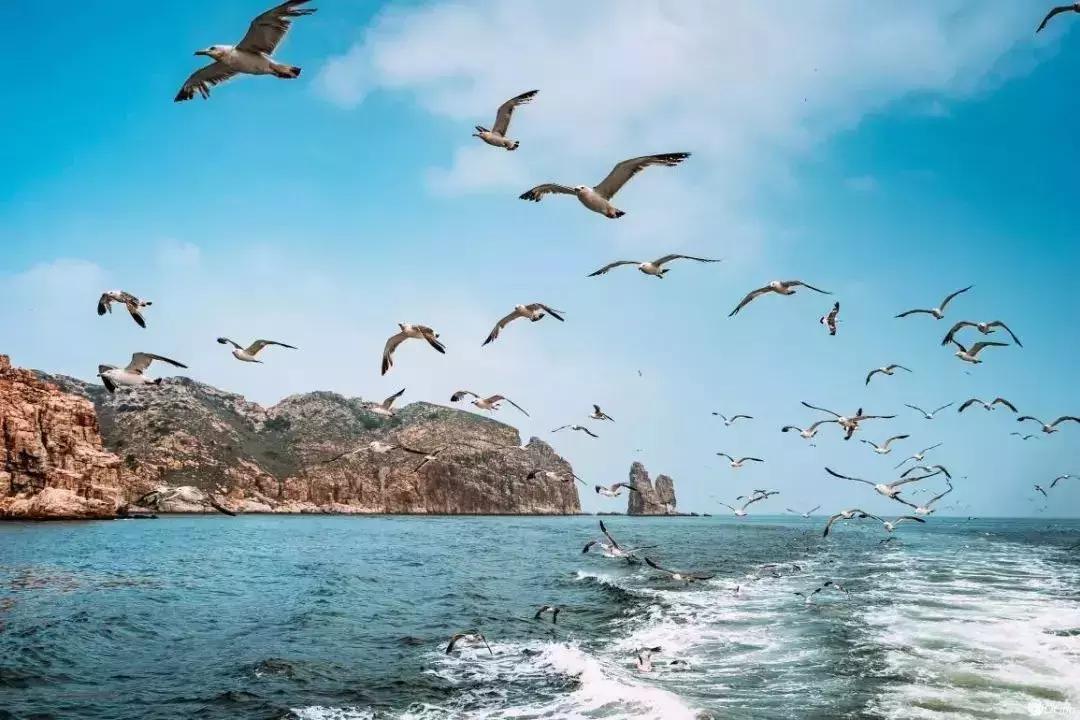 旅游天津周边哪好玩,天津旅游有海的地方