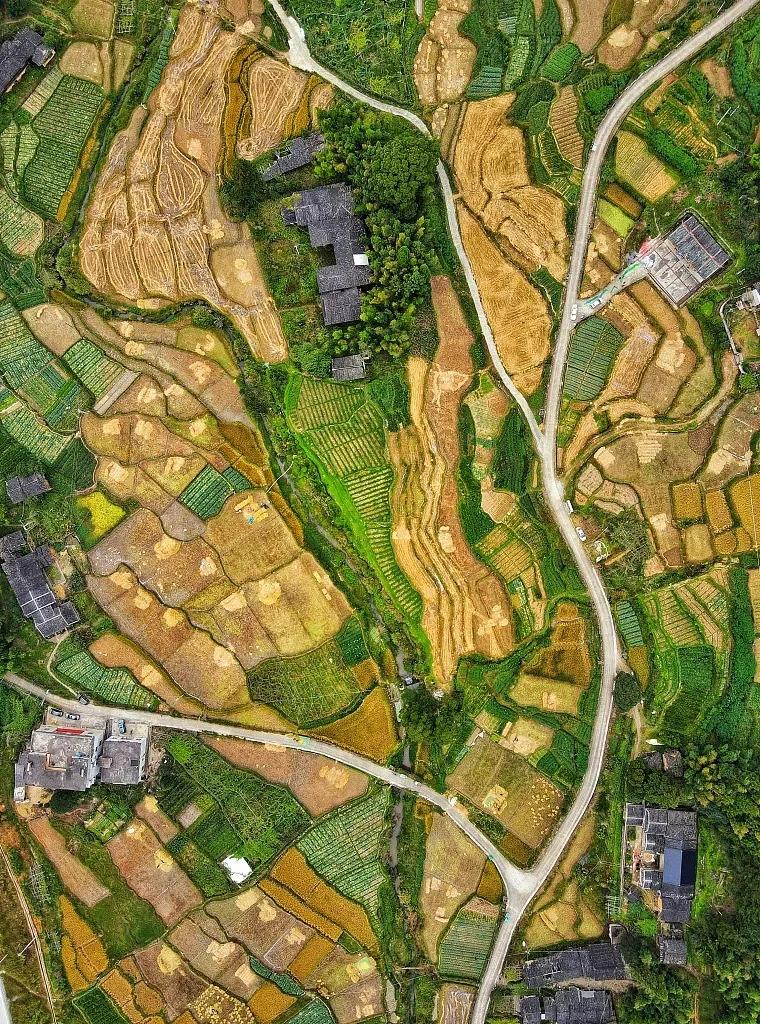 泉州，你可真是太拼了