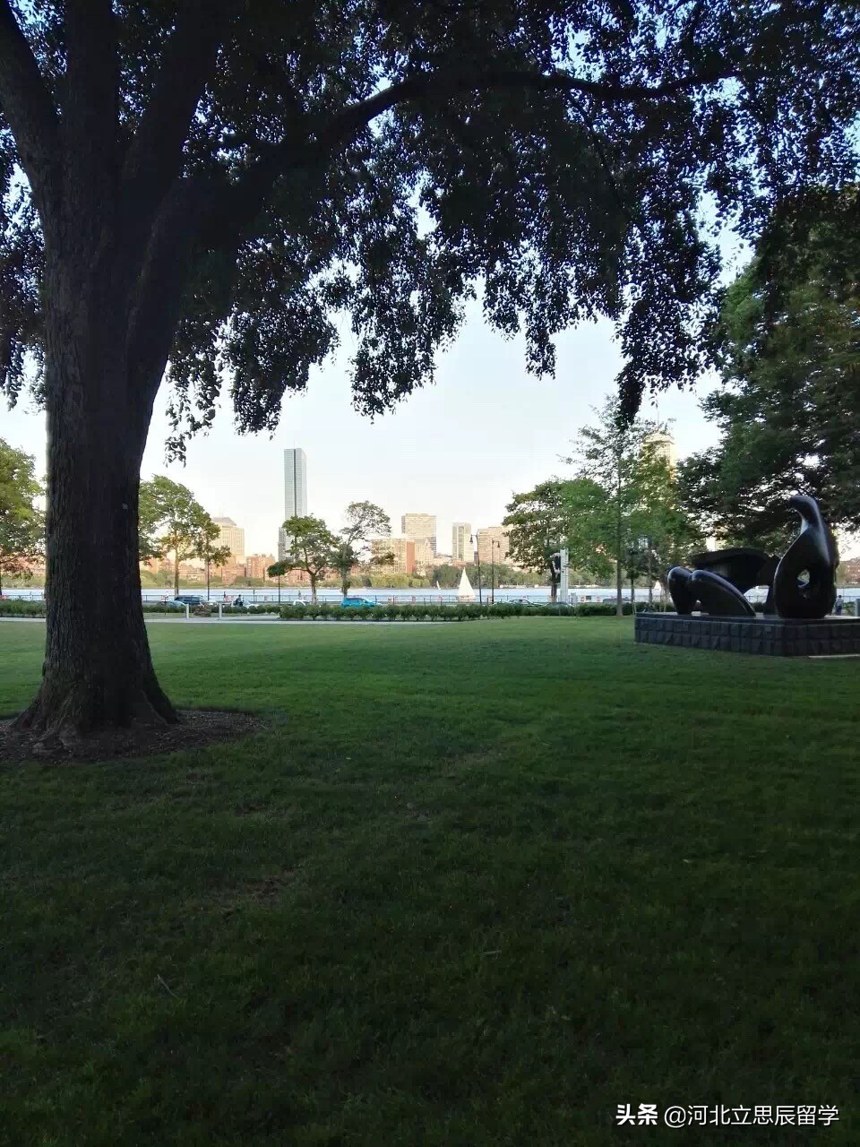 美国留学被劝退申诉成功概率,美国留学被开除如何处理