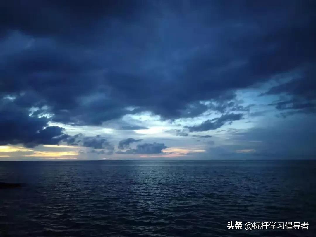 华为海外员工一人一厨一狗,一人一厨一狗这就是华为精神