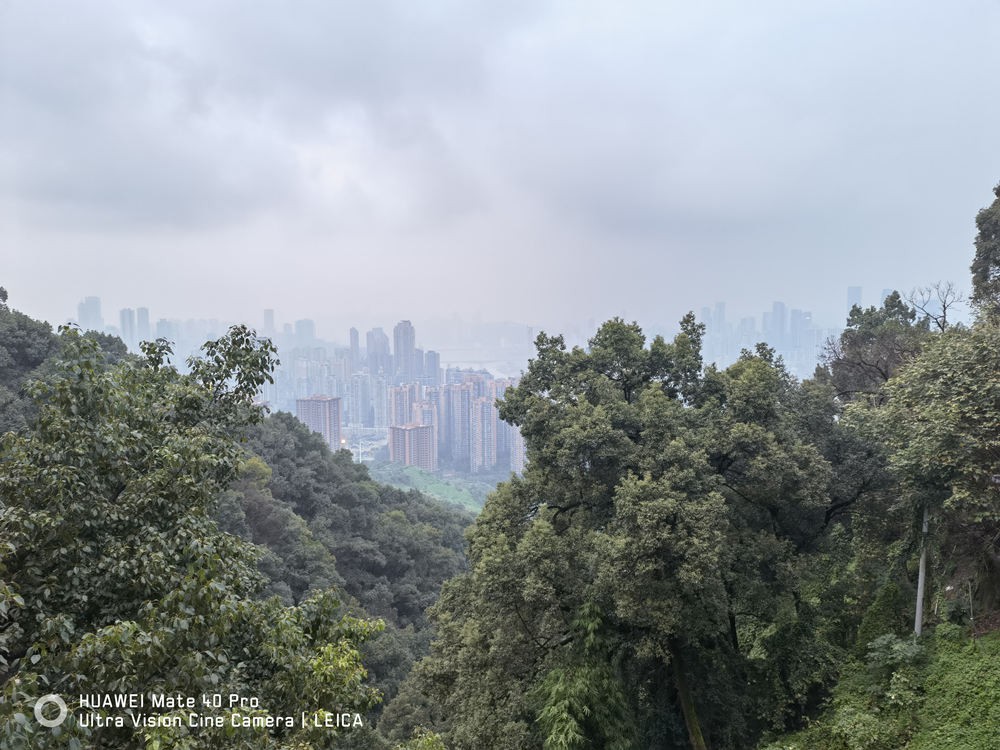 荣耀20prodxomark拍照排名,dxomark相机是什么