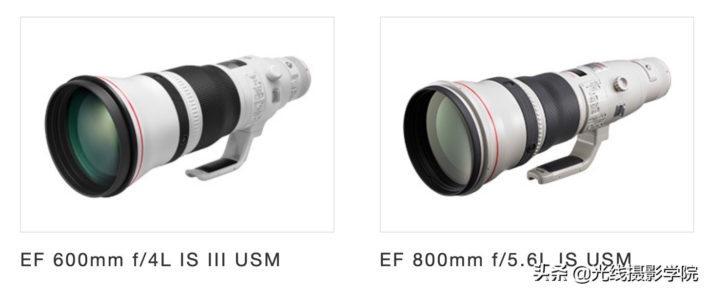 2023年佳能值得入手的二手相机,2021年佳能最值得入手的相机