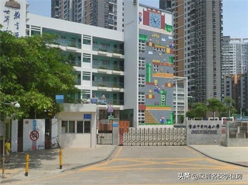 宝安小学排名一览表,弘雅小学在宝安的排名
