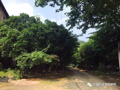 我在绩溪瑞金医院的八年