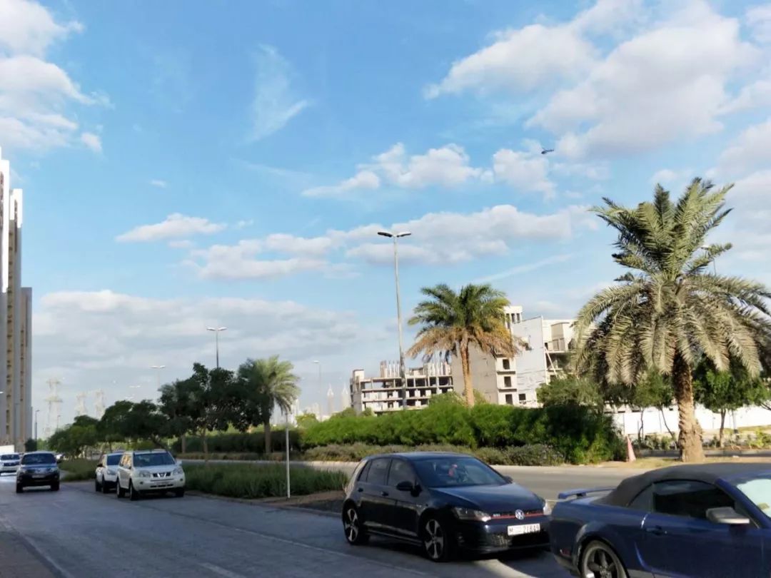 在迪拜工作的坏处,在迪拜都是什么工作