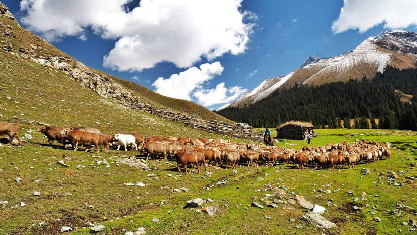 走在通往天堂的路上,走在离天堂很近的地方