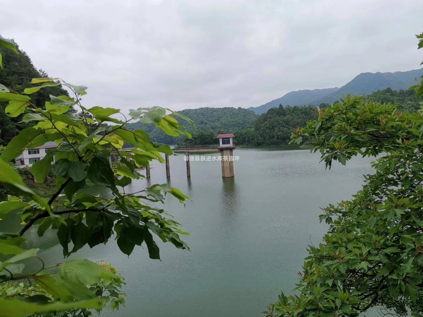 女性补气益血的药,补中益气汤能治崩漏吗