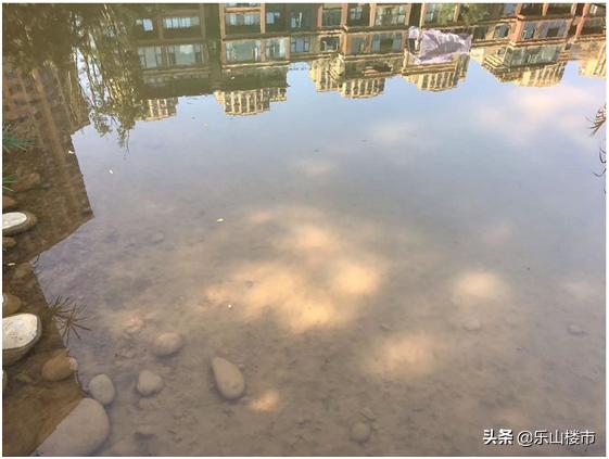 乐山住宅景观,乐山小区景观造雾