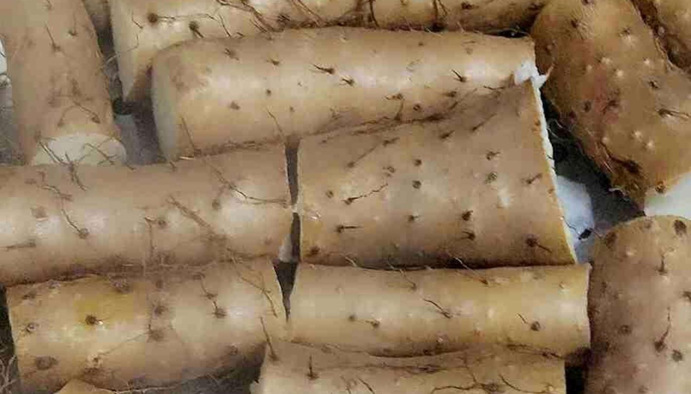 铁棍山药怎么做好吃简单做法,铁棍山药的10种家常吃法图片